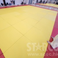 STARCO RUMAT230 柔道墊, 符合IJF標準, 技擊運動地墊